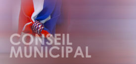 Conseil Municipal du 30 juin 2017