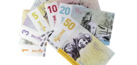 Notre monnaie locale : la lettre de décembre 2018